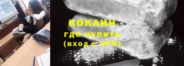 индика Бородино