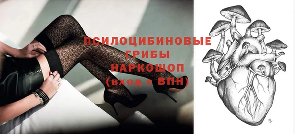 индика Бородино