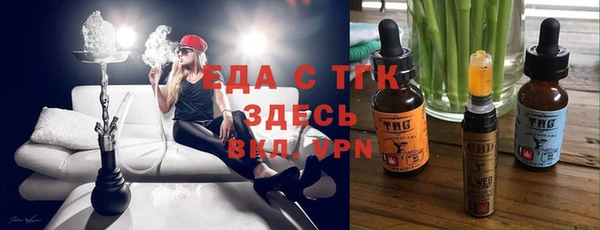 индика Бородино