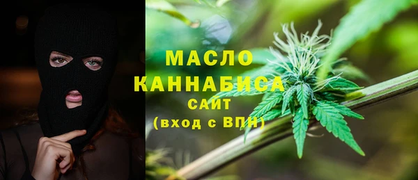 крисы Бронницы