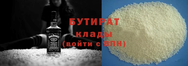 индика Бородино