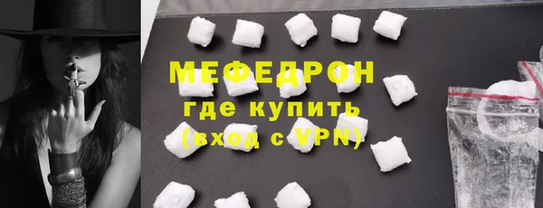 индика Бородино