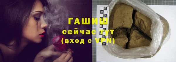 индика Бородино