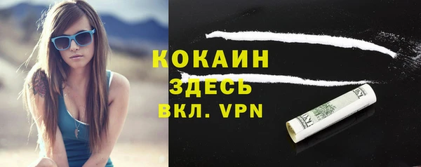 индика Бородино
