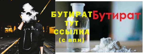 индика Бородино