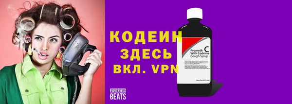 индика Бородино