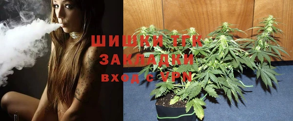 крисы Бронницы