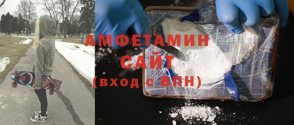 индика Бородино