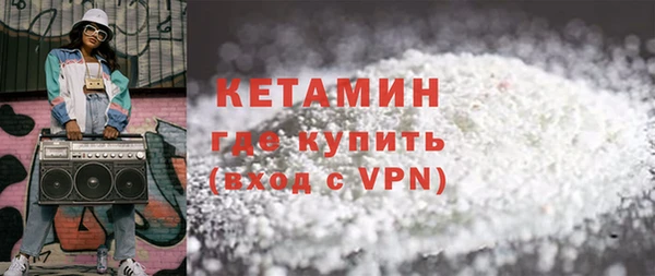 индика Бородино