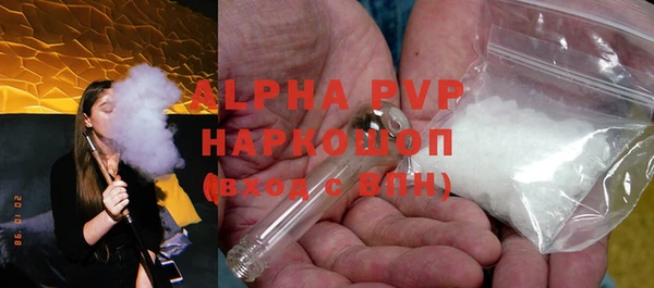 индика Бородино