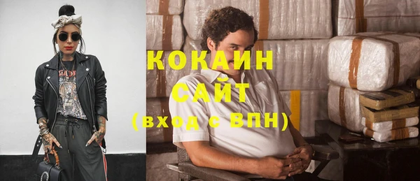 крисы Бронницы